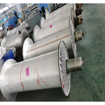 Nylon DTY Dej dav hlau Loom Warping Lub taub hau